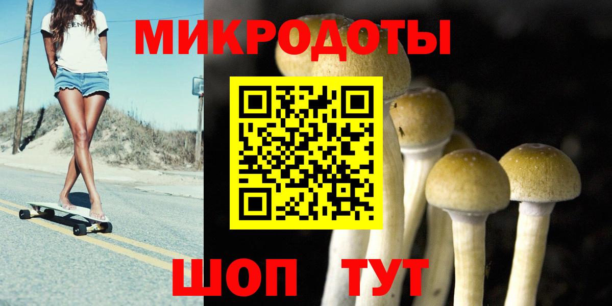 Минусинск  Псилоцибиновые грибы GOLDEN TEACHER  Вход с VPN  Псилоцибиновые грибы MAGIC MUSHROOMS 