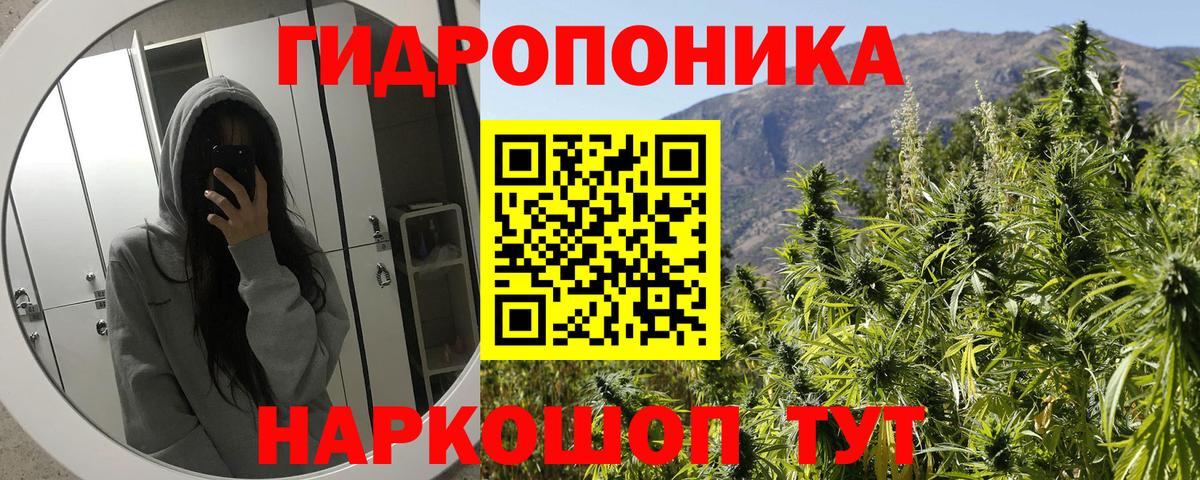 Бошки Шишки ГИДРОПОН Минусинск